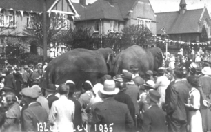 Elephants in a circus procession on Bletchley Road (Queensway) for the royal jubilee, 1935