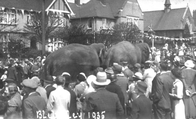 Elephants in a circus procession on Bletchley Road (Queensway) for the royal jubilee, 1935