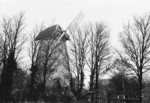 The windmill seen through the trees 1971