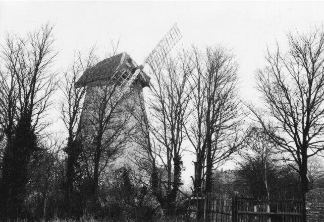 The windmill seen through the trees 1971 | Iain Cawthorne