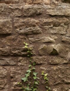 Close-up of stone wall of the windmill