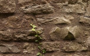 Close-up of stone wall of the windmill