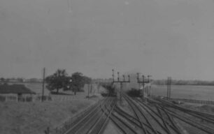 Looking North from No 3 Box