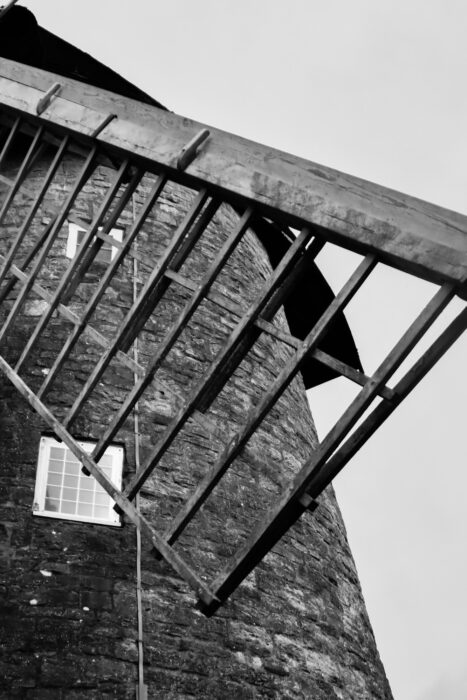 x
All Rights Reserved © 2025 Rib Wobb Photography