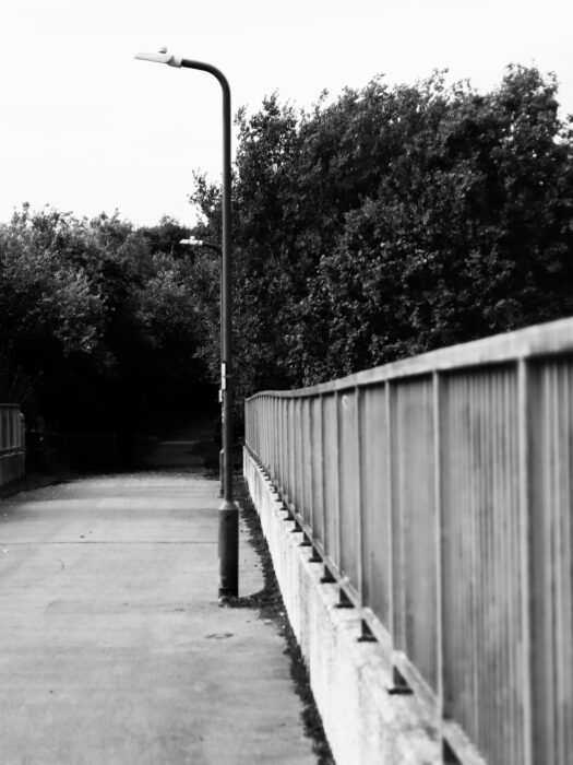 x
All Rights Reserved © 2025 Rib Wobb Photography