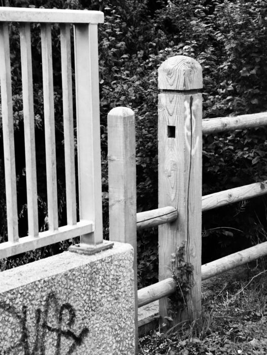x
All Rights Reserved © 2025 Rib Wobb Photography