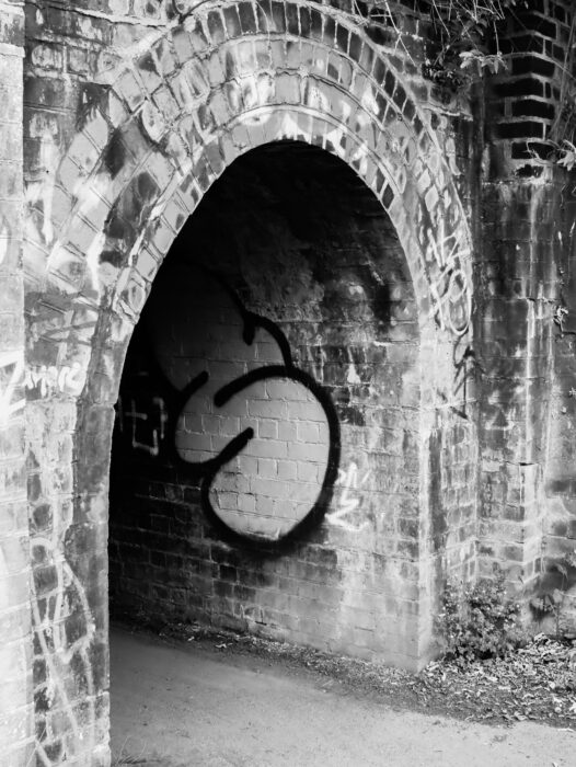 x
All Rights Reserved © 2025 Rib Wobb Photography