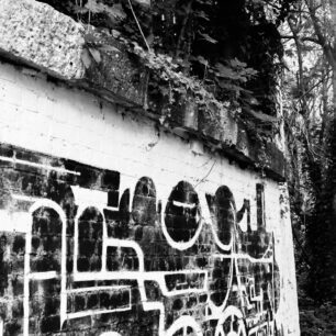 x
All Rights Reserved © 2025 Rib Wobb Photography