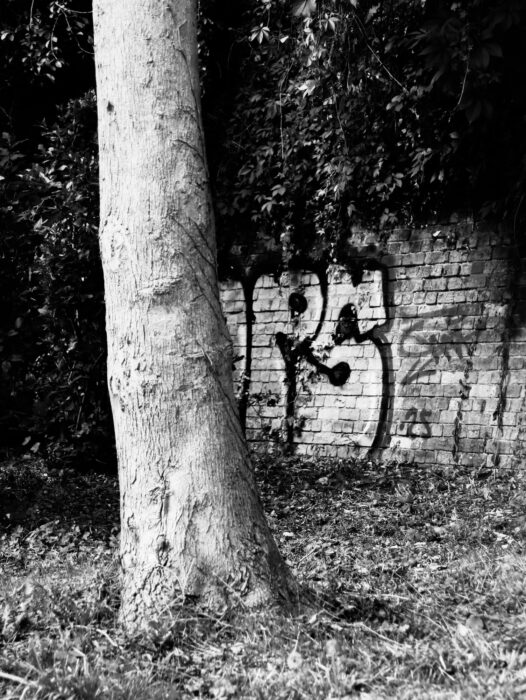 x
All Rights Reserved © 2025 Rib Wobb Photography
