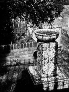 A mosaicked bird bath on a plinth