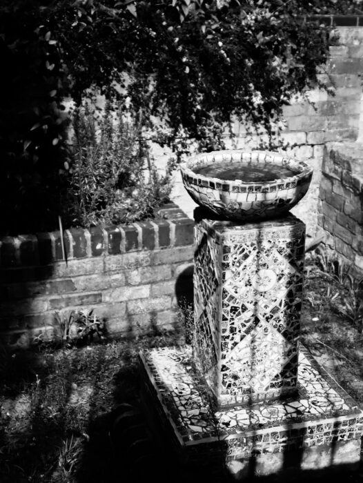x
All Rights Reserved © 2025 Rib Wobb Photography