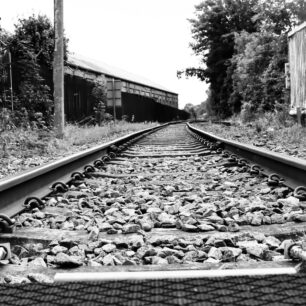x
All Rights Reserved © 2025 Rib Wobb Photography