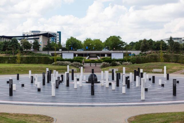 Milton Keynes Rose 2014