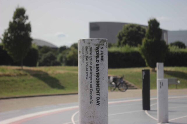 Individual Pillar - World Environment Day, 5 June