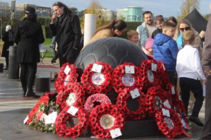 Armistice Day at the Milton Keynes Rose